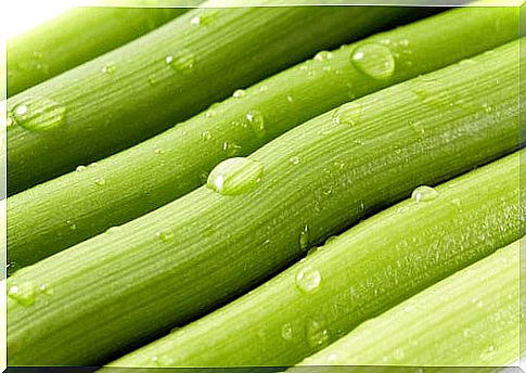 celery