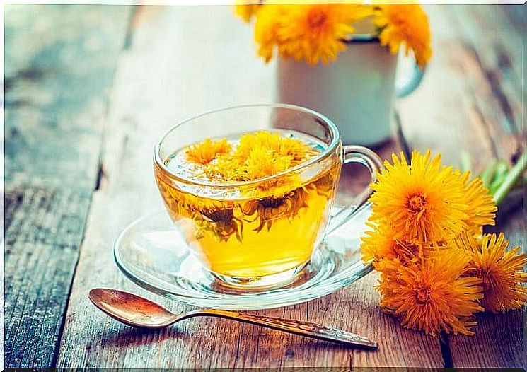 Dandelion tea against increased uric acid levels