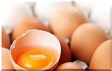 Egg yolks against macular degeneration