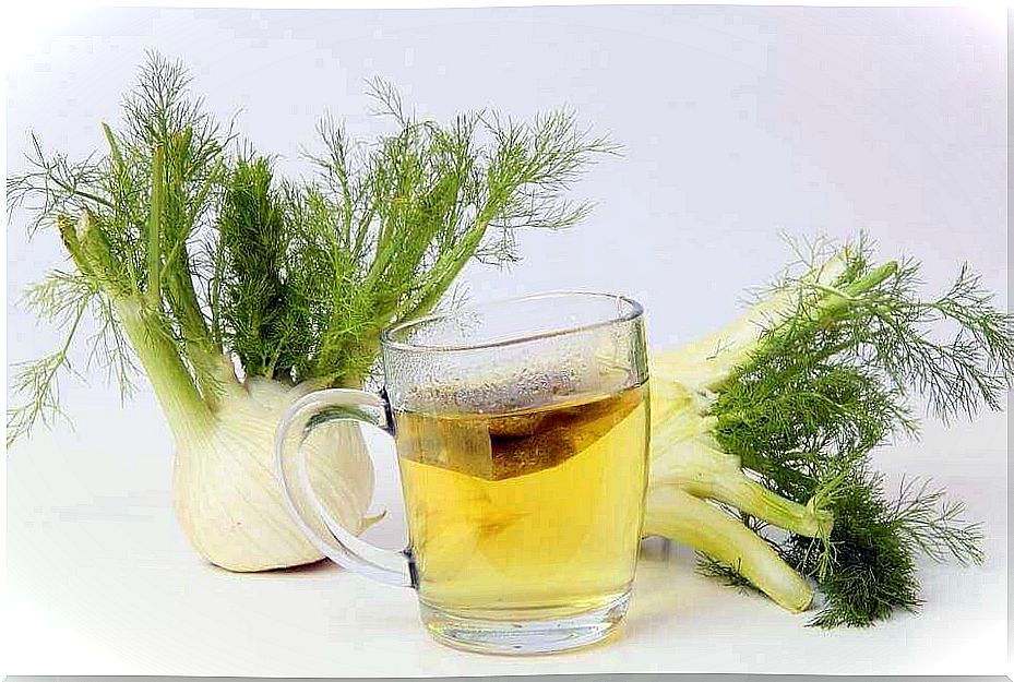 Indigestion teas contain fennel