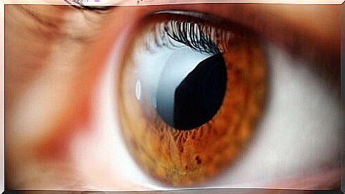 5 signs of disease that can be seen in the eyes