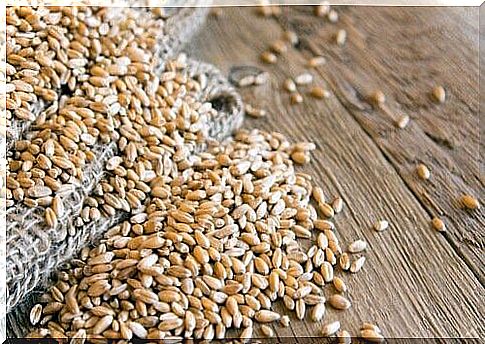 Healthy grains: barley