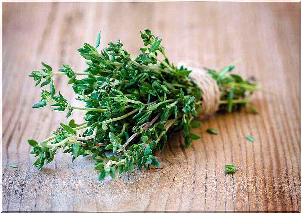 Thyme helps against flies in the house