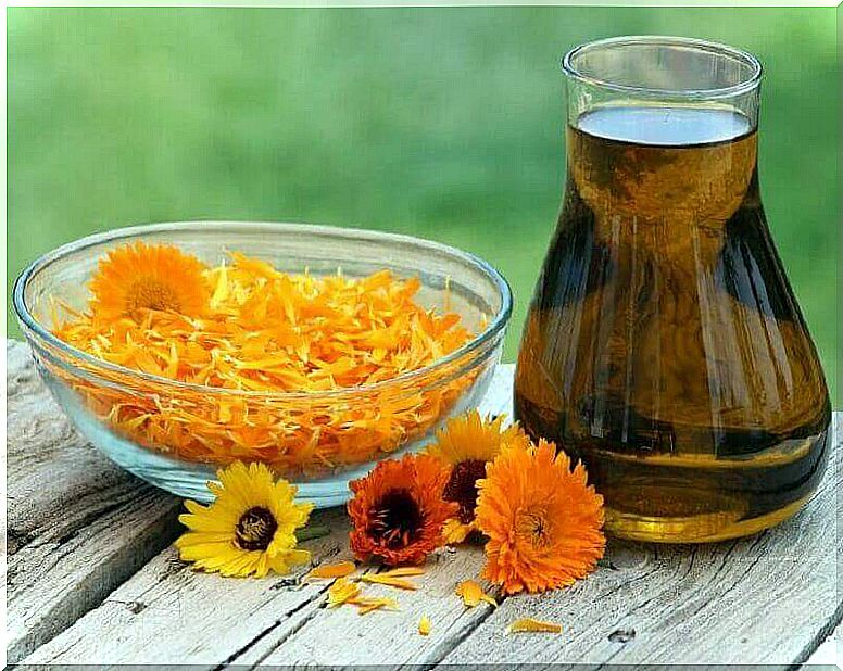 Marigold helps against flies in the house