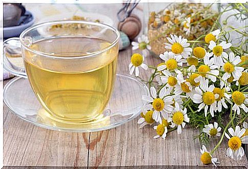 Drinks for insomnia: chamomile tea