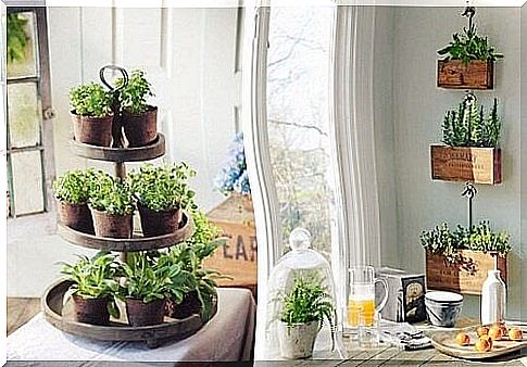 8 pieces of advice on how to make your home sustainable and ecological