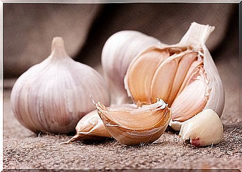 garlic-causes-body-odors