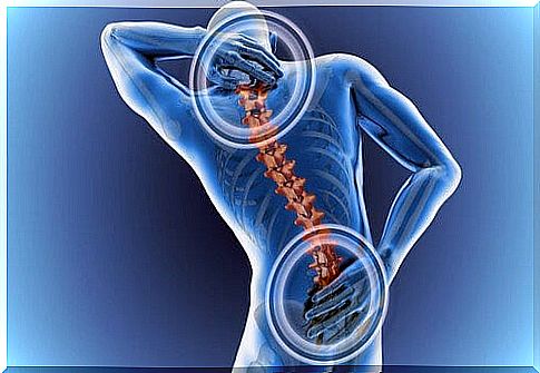 Back pain: where it comes from and what works against it