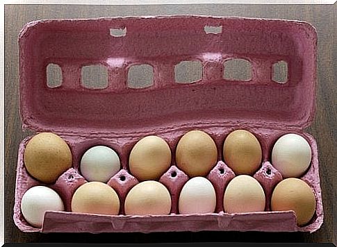 Eggs 