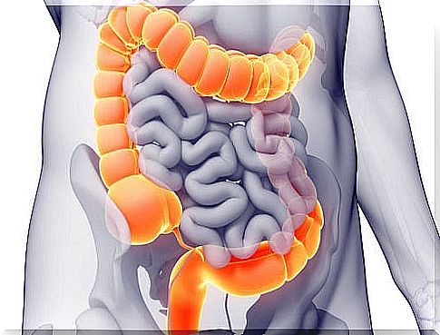 Illustration of an intestine