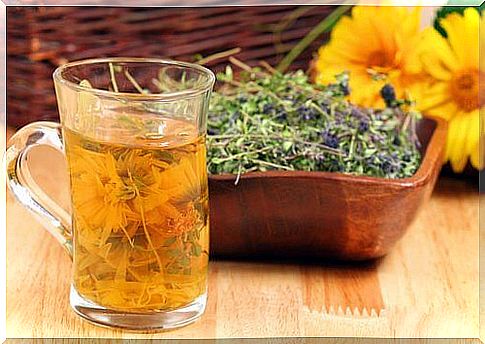 Detox teas: 4 herbs that will detoxify your body