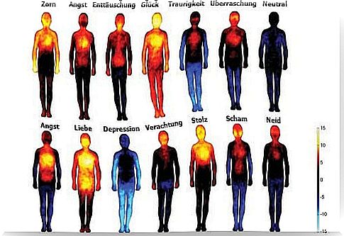 Effects of negative emotions on our body