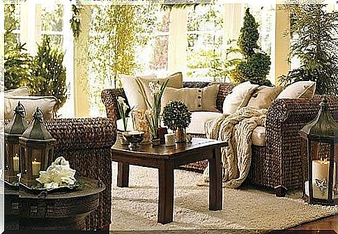 living room houseplants decoration