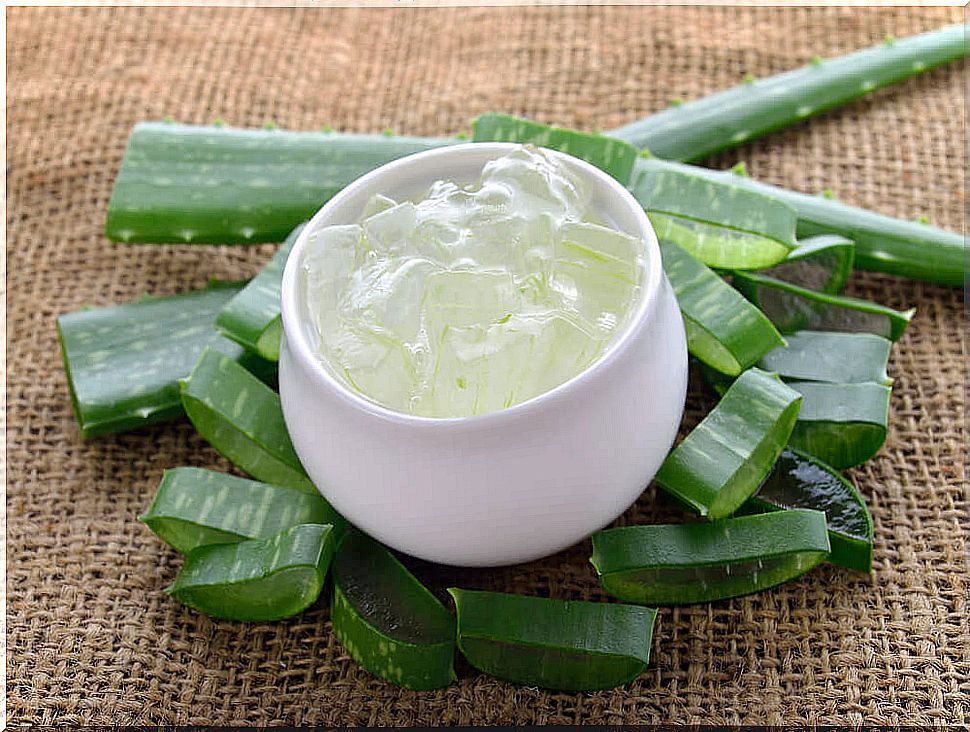 Aloe Vera as a first aid for burns