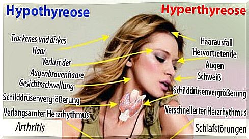 Foods used to regulate thyroid function