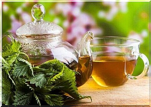 Get rid of kidney stones with green nettle tea