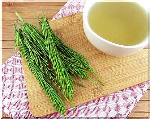 Get rid of kidney stones with horsetail tea