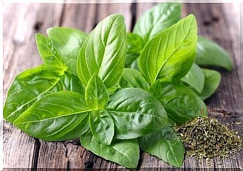 Get rid of kidney stones with basil tea