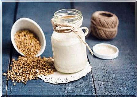 Hemp milk and hemp seeds