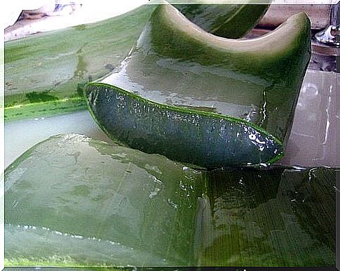 How to make your own juice with aloe vera