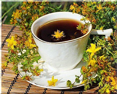 St. John's wort tea to regulate the thyroid gland