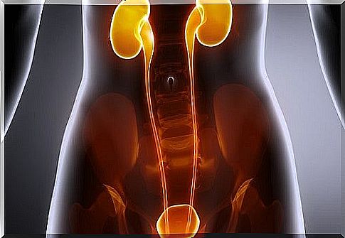 Kidney problems as a trigger for right-sided abdominal pain