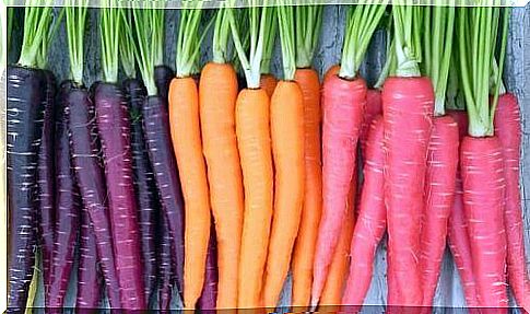 purple-and-orange-carrots