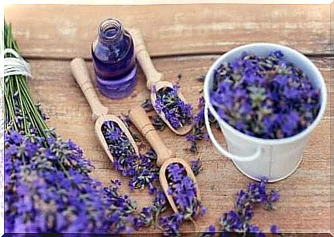 Relaxation with lavender: 5 tips