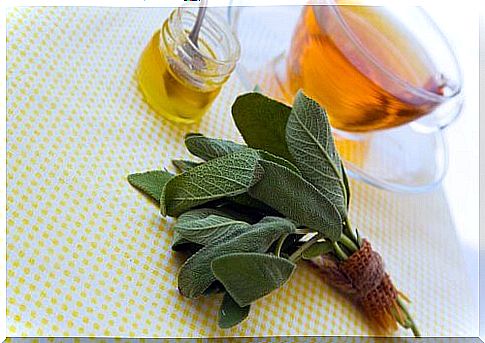 Sage and honey against cuts and scratches