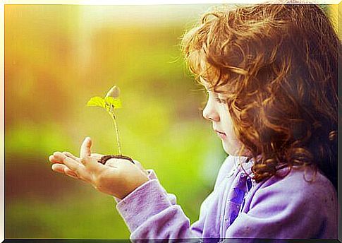 child-with-plant-and-wing