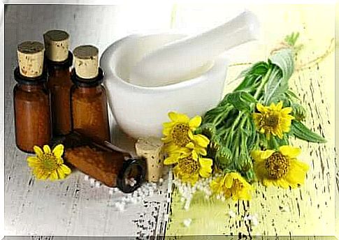 The medicinal plant arnica: benefits and contraindications