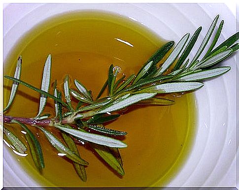 Treat carpal tunnel syndrome with rosemary