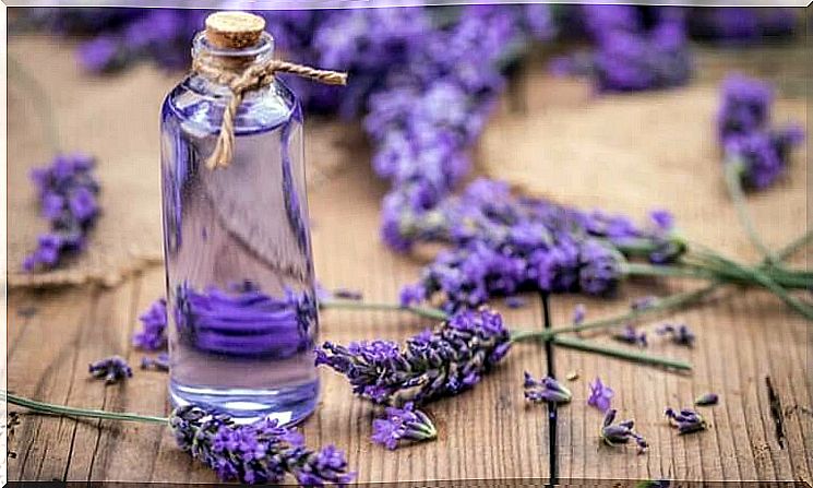 Dark circles with essential oils: lavender