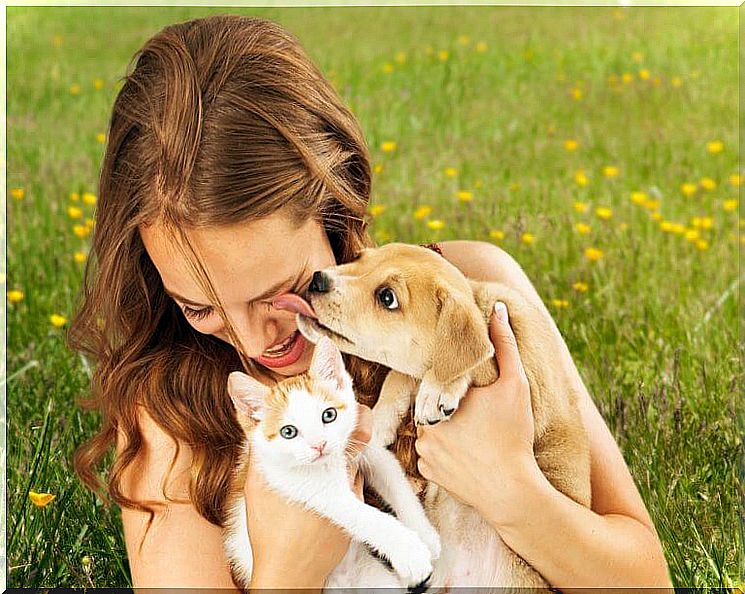 Dogs and cats: the best pets for health