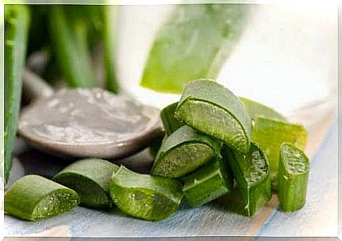 What you can do about hemorrhoids: aloe vera 