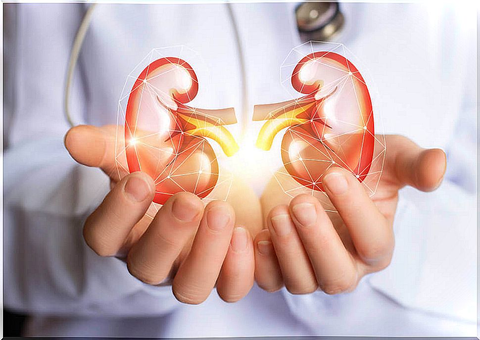 This diet can help you cleanse your kidneys